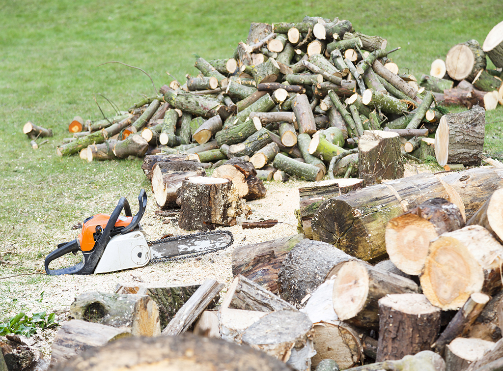 tree-surgeon-how-to-find-one-checkatrade-blog